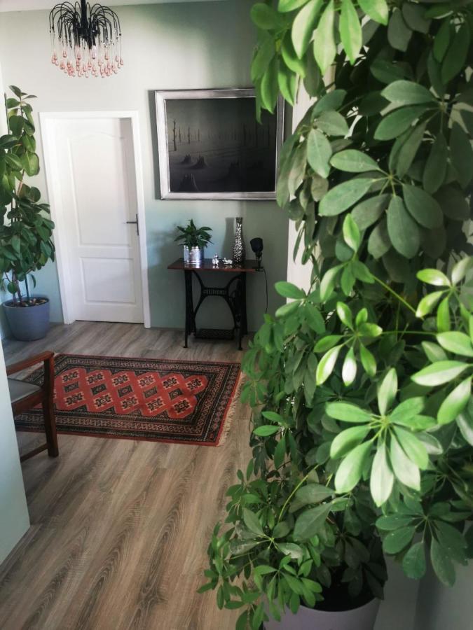 Sombor 19 Central Apartment Ngoại thất bức ảnh