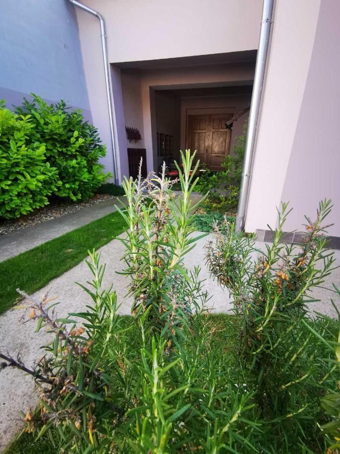 Sombor 19 Central Apartment Ngoại thất bức ảnh