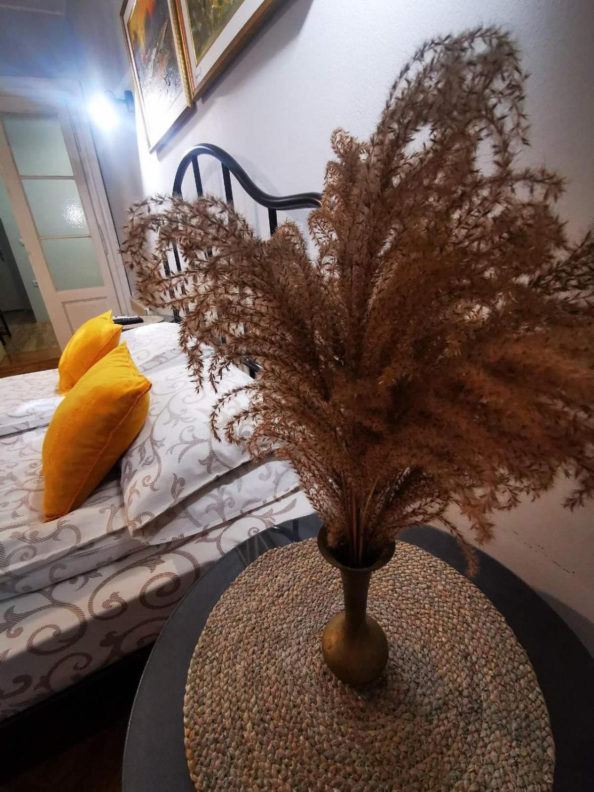 Sombor 19 Central Apartment Phòng bức ảnh
